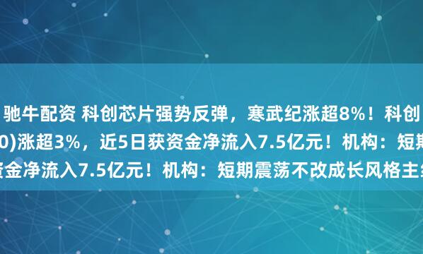 驰牛配资 科创芯片强势反弹，寒武纪涨超8%！科创芯片50ETF(588750)涨超3%，近5日获资金净流入7.5亿元！机构：短期震荡不改成长风格主线