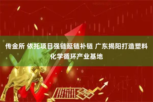 传金所 依托项目强链延链补链 广东揭阳打造塑料化学循环产业基地